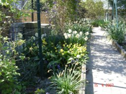 fleur_variee_20211127_2091658043